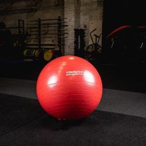 Купить Гимнастический мяч Yousteel Hard 55см в Лакинске 